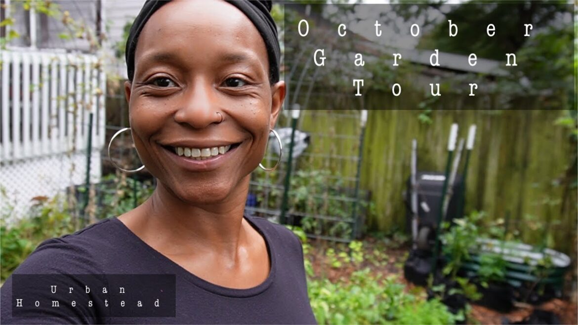 Struggle October Garden Tour | My Garden After Sickness And Vacation | It’s Fine We Gone Leave It :) Struggle October Garden Tour | My Garden After Sickness And Vacation | It's Fine We Gone Leave It :)