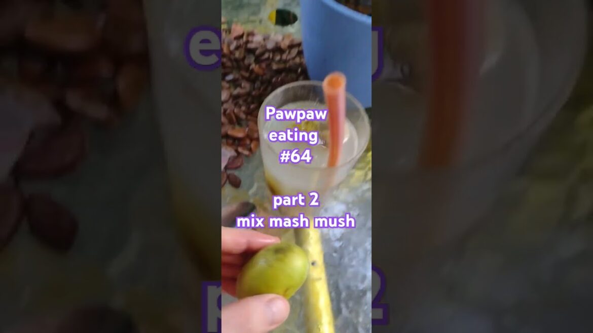 Pawpaw eating #64 part 2 #pawpaw #wildedibles #piñacolada #pinacolada #nativeplants