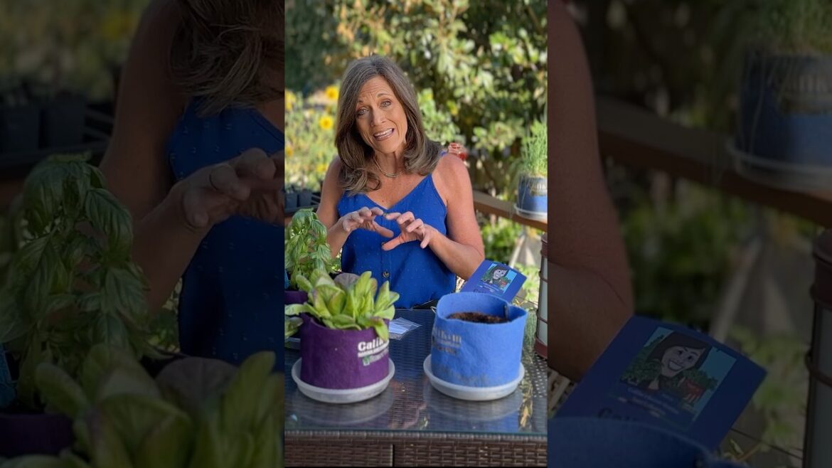 October What to Plant