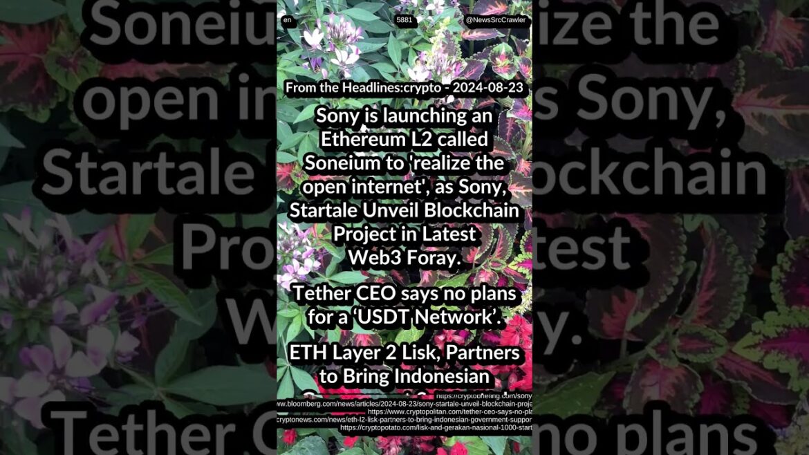 Sony Ethereum L2 Soneium. Tether CEO: no plans for USDT Network. Lisk Gerakan Nasional Unveil Ignit3