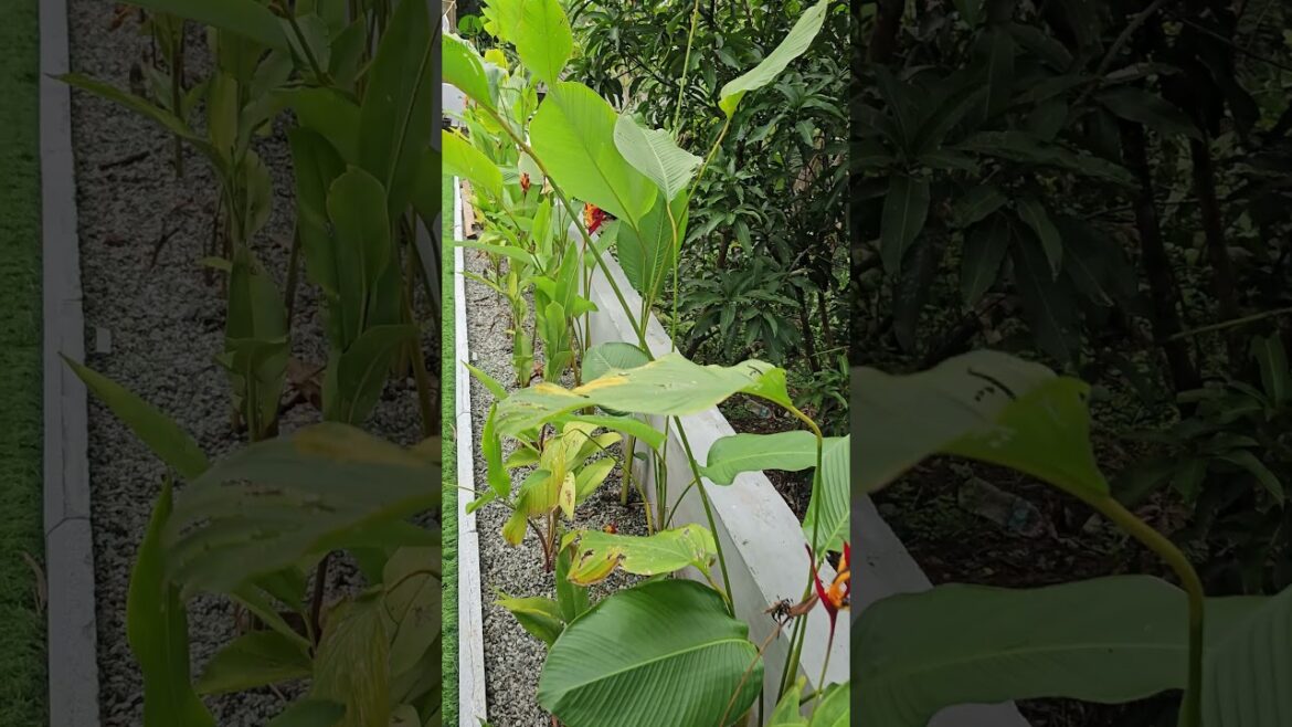 Transform your outdoor spaces into breathtaking landscapes