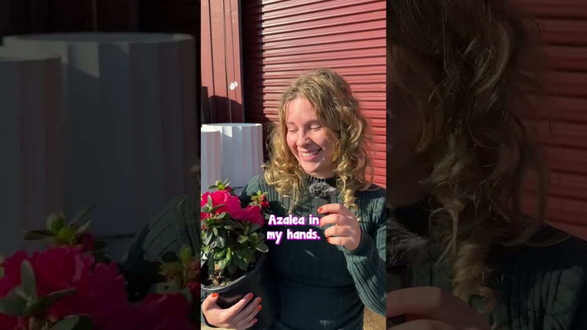 Which gift should she get her Mum for Mothers Day?