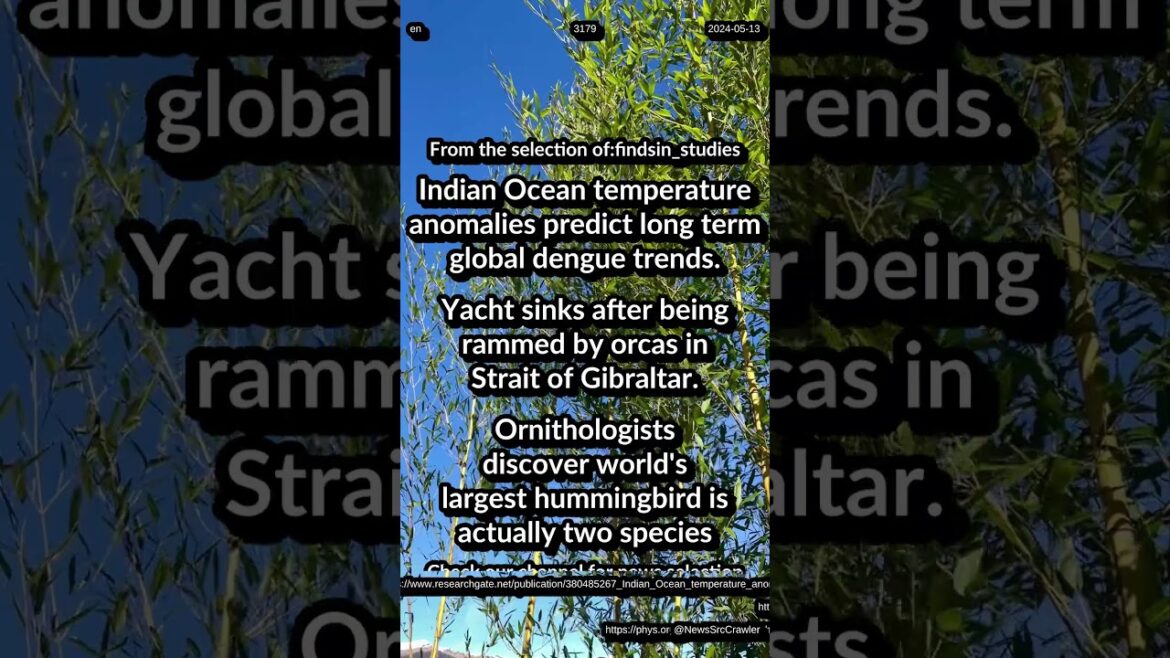Indian Ocean temperature predict dengue. Yacht sink in Gibraltar. Largest hummingbird two species Indian Ocean temperature predict dengue. Yacht sink in Gibraltar. Largest hummingbird two species