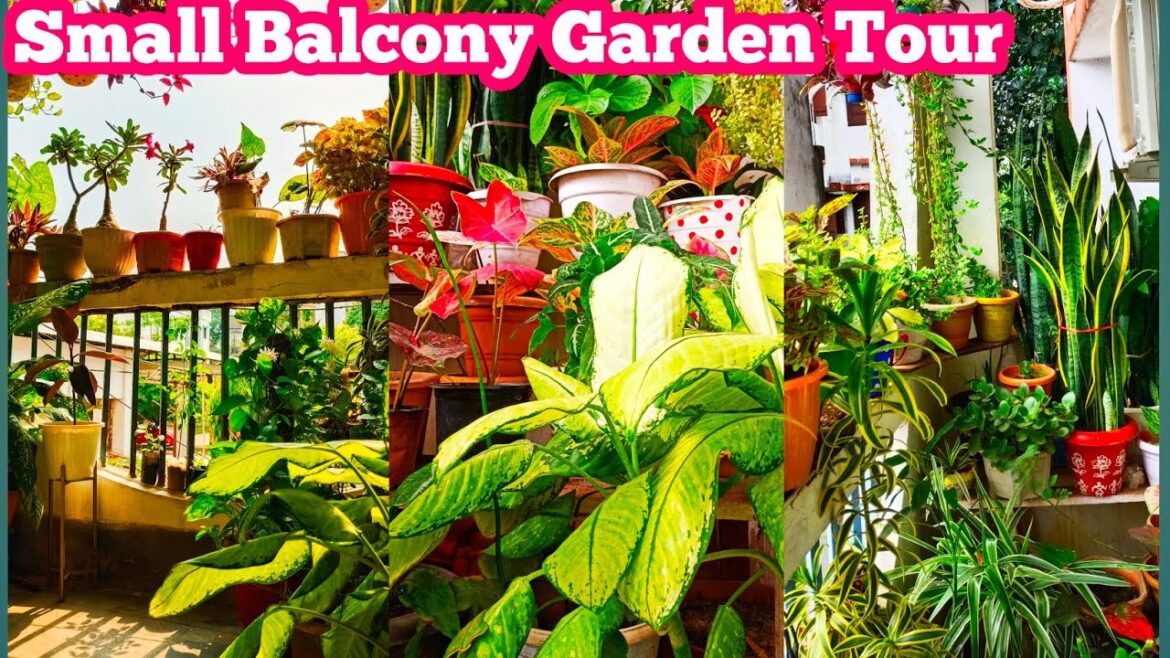 My Small Balcony Garden Tour | Balcony Garden Ideas | Balcony Garden