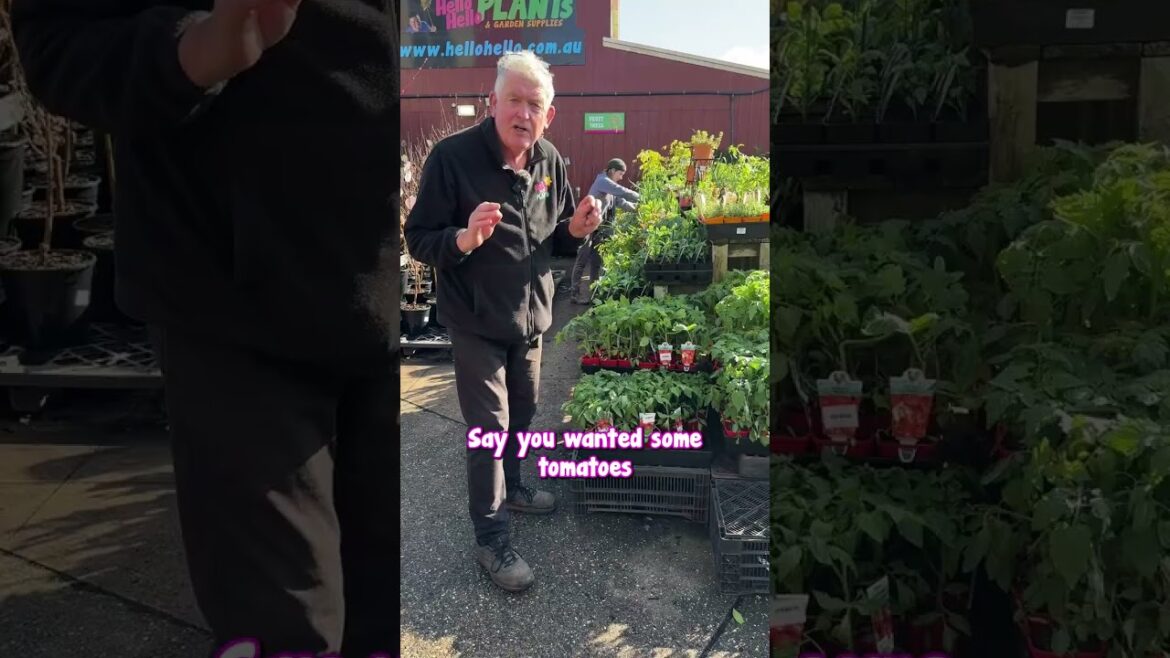 "Looking for the perfect Father's Day gift? 🌟