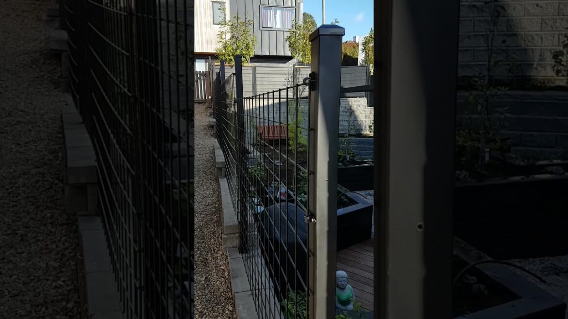 Bridget's Garden Progress | Planting #gardendesign #newbuild