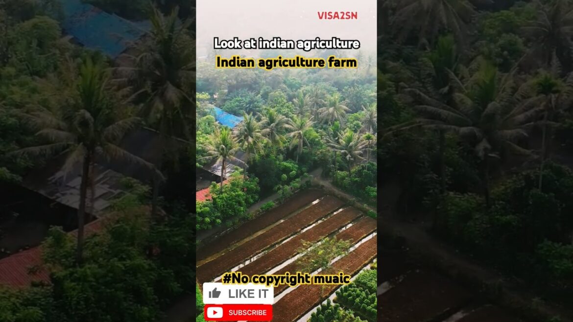 Look at | indian agriculture indian agriculture farming veiw | ๐ด๐ฒ๐ต๐พ๐๐๐#shorts #shortsbeautiful Look at | indian agriculture indian agriculture farming veiw | ๐ด๐ฒ๐ต๐พ๐๐๐#shorts #shortsbeautiful