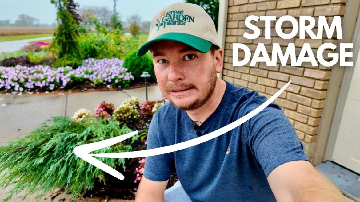 Surveying the Storm Damage (I Guess This Starts Fall Cleanup) | The Southerner's Northern Garden