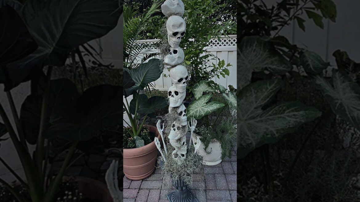 🕸️ Best Halloween Yard Display 2024 with DIY Ideas for a Spooky Outdoor Spectacle