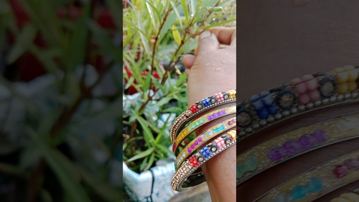 Mexican Petunia : Seeds vs cuttings #shorts#gardening #plants#viralshort