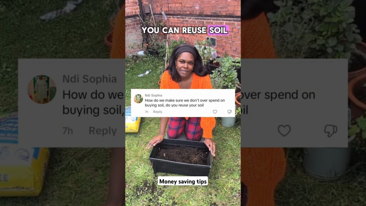 Only on soil that produced healthy plants! #containergardening #shorts #gardening #compost #budget