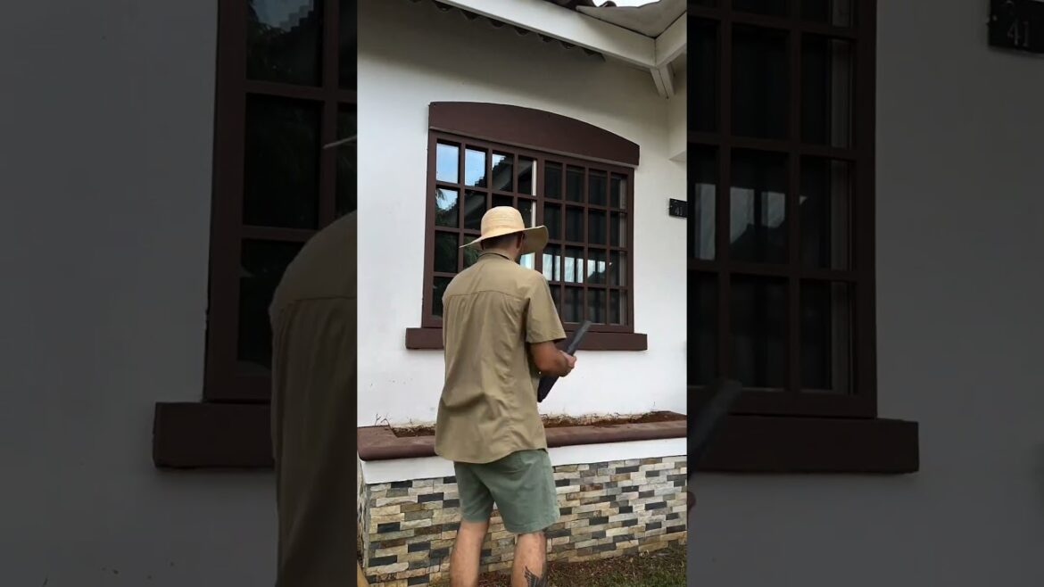 Quick Garden Design for Small Spaces #YardCleanUp #LawnCare ##GardeningTips #cleanspace #cleanspace