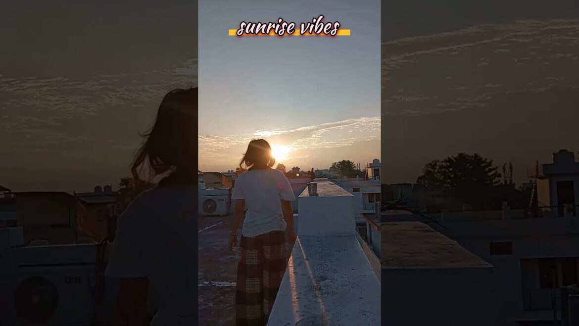 Sunrise / Vegetable Garden / Dog Moments / Pitru Paksha #SunriseVibes