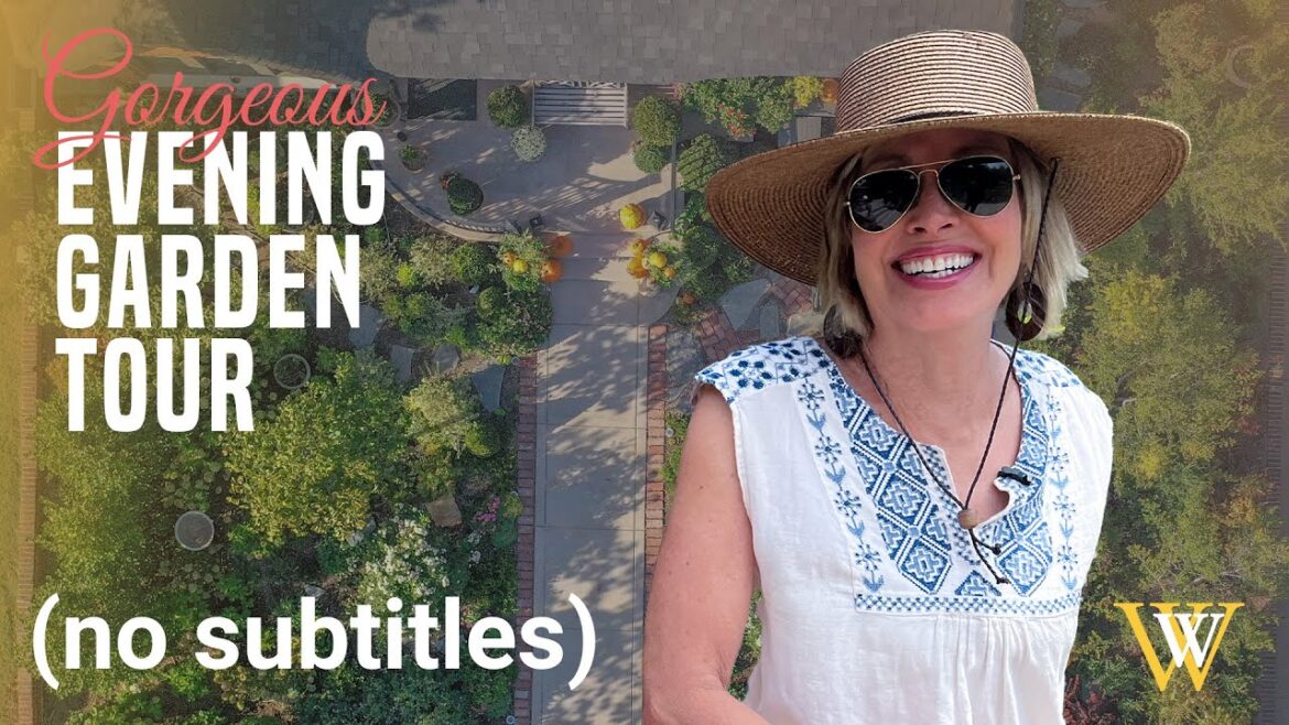 Evening Fall Garden Tour of My Favorite Plants (No Subtitles)