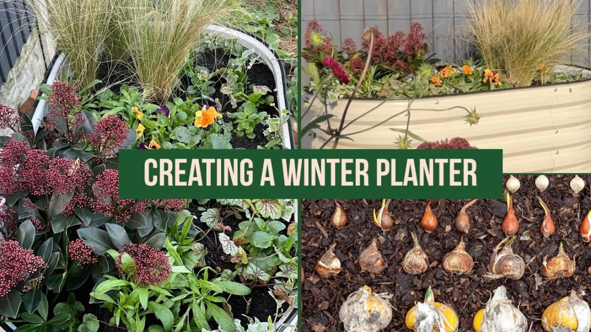 Winter Planters - Creative Planting Ideas