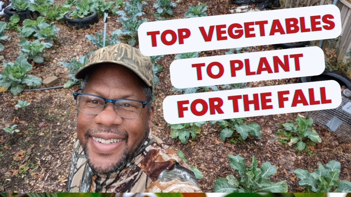 Vegetable Gardening for Beginners: 16 Crops To Grow In the Fall, No Matter Where You Live!