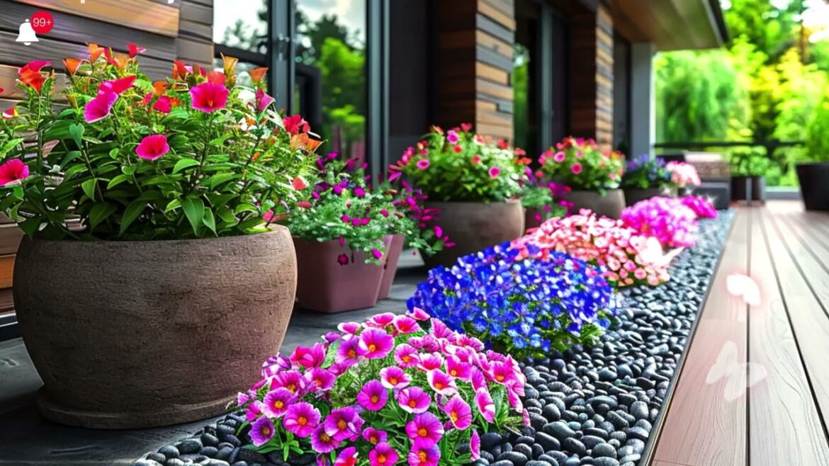 Elegant Patio Landscape Ideas with Fragrant Flowers Elegant Patio Landscape Ideas with Fragrant Flowers