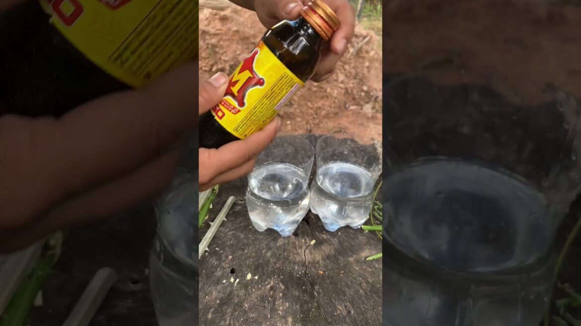 Daily life gardener by meimei / tips for growing/ enjoy with organic vegetable #shorts #gardening Daily life gardener by meimei / tips for growing/ enjoy with organic vegetable #shorts #gardening