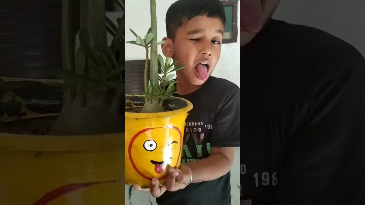 Flowers Pot With Emoji #ytshorts #garden #plants #shorts