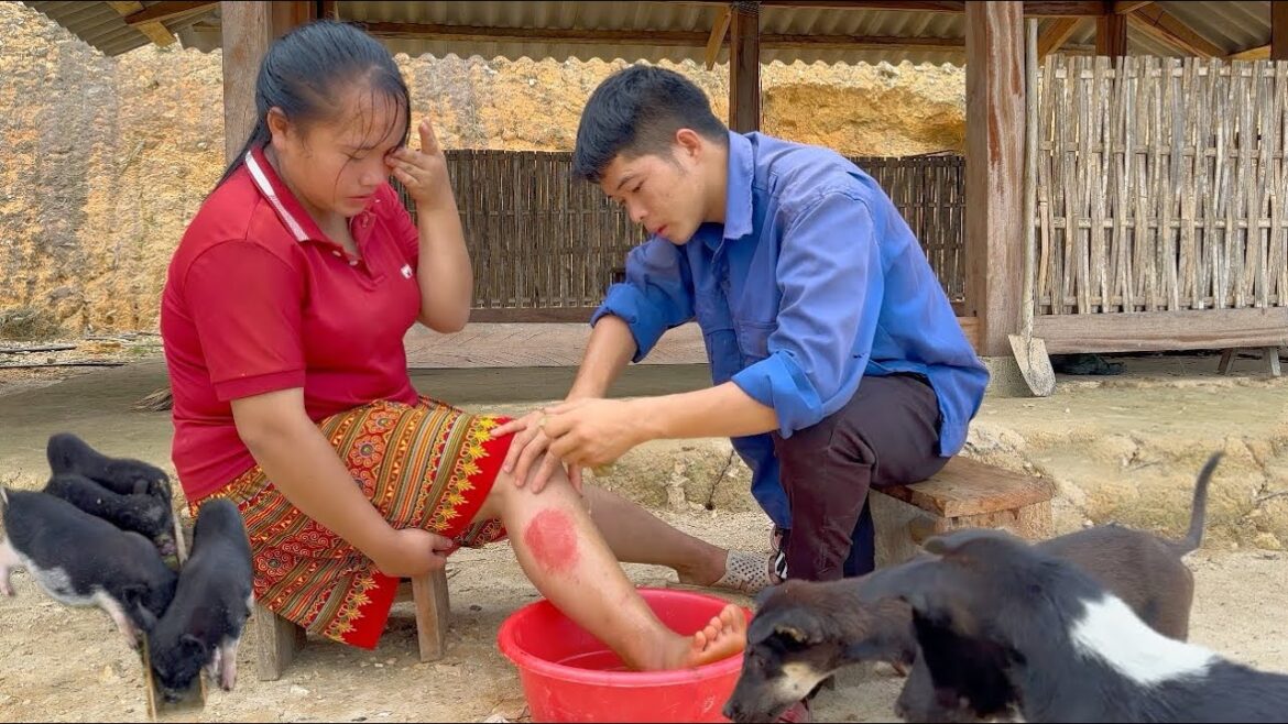 Sua had an accident at work, Transporting wild bamboo for vegetable gardening.|Phuc and Sua