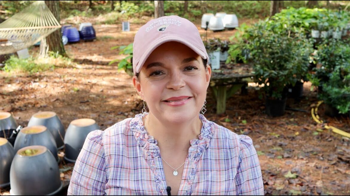 Don’t Miss These Amazing Deals! Don't Miss These Amazing Deals!