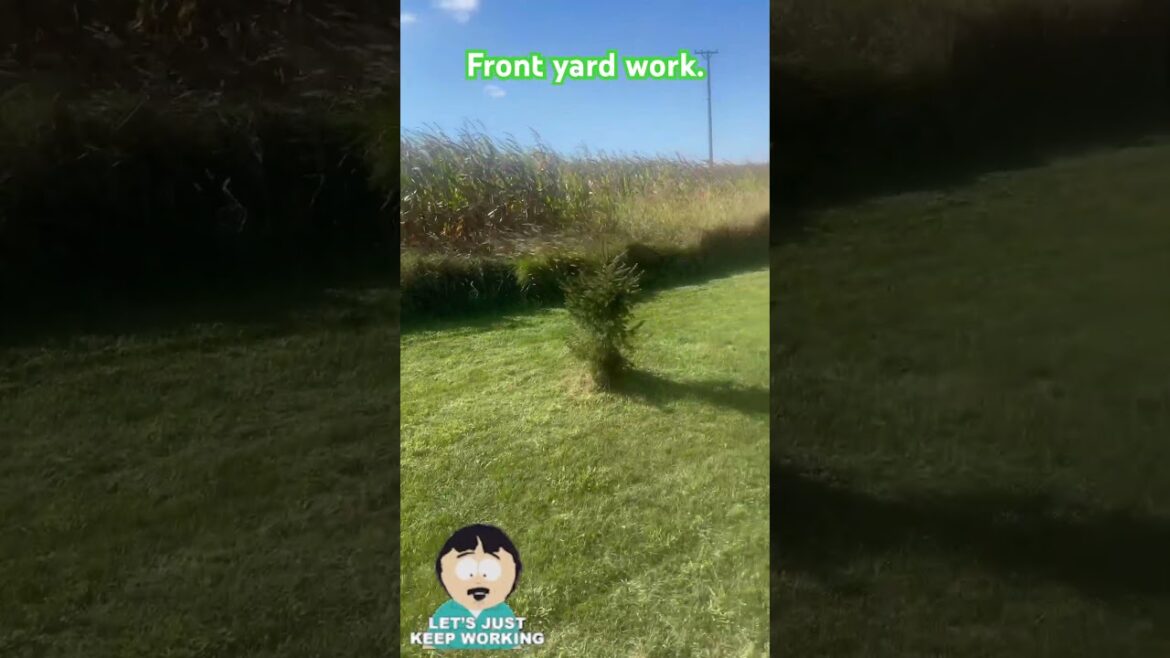 Front yard work. #shortsfeed #shorts #ytshorts #garden #subscribe #trending