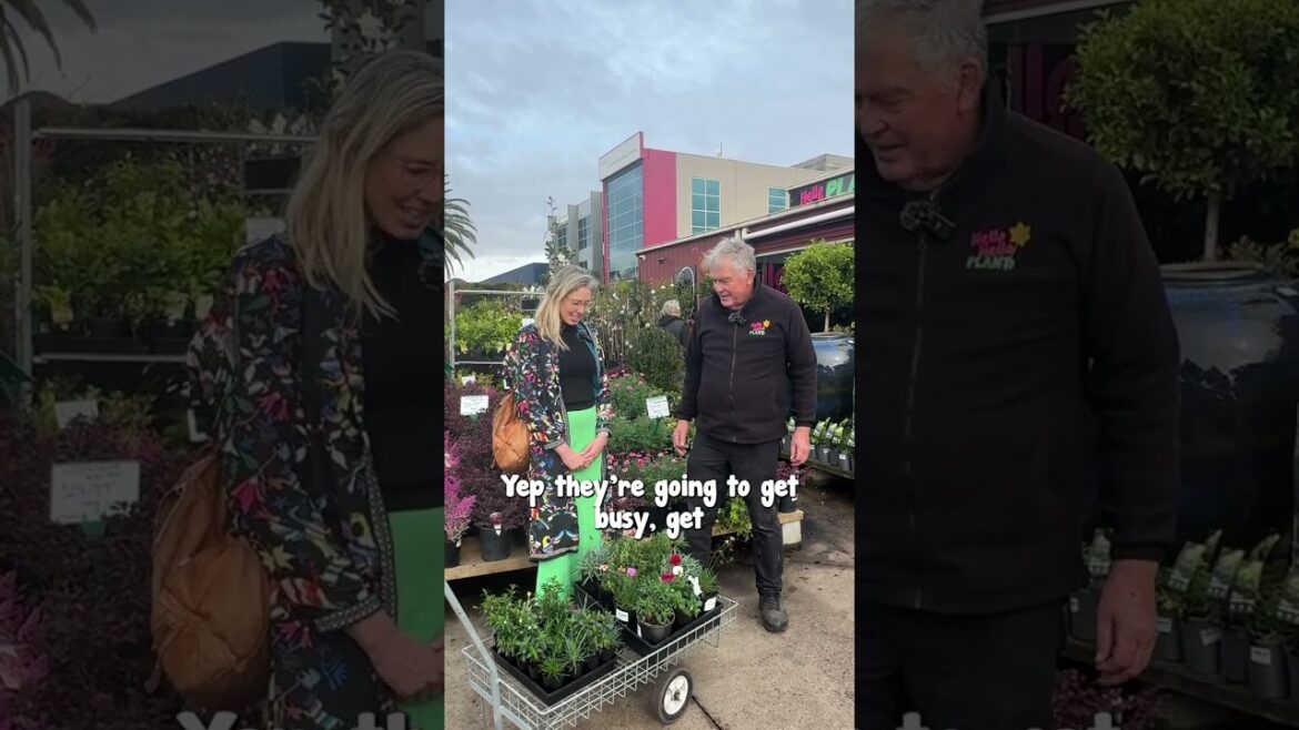 Donating to Little Flyers Laurimar Township School