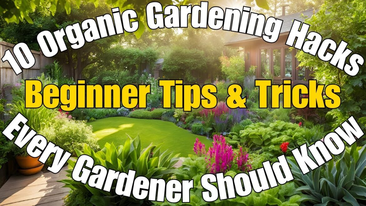 10 Organic Gardening Hacks Every New Gardener Should Know | Beginner Tips & Tricks 10 Organic Gardening Hacks Every New Gardener Should Know | Beginner Tips & Tricks