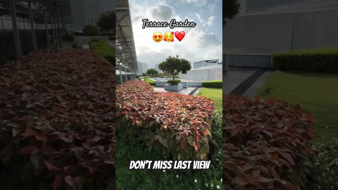 Terrace Garden ideas #ytshorts #shorts #terracegarden