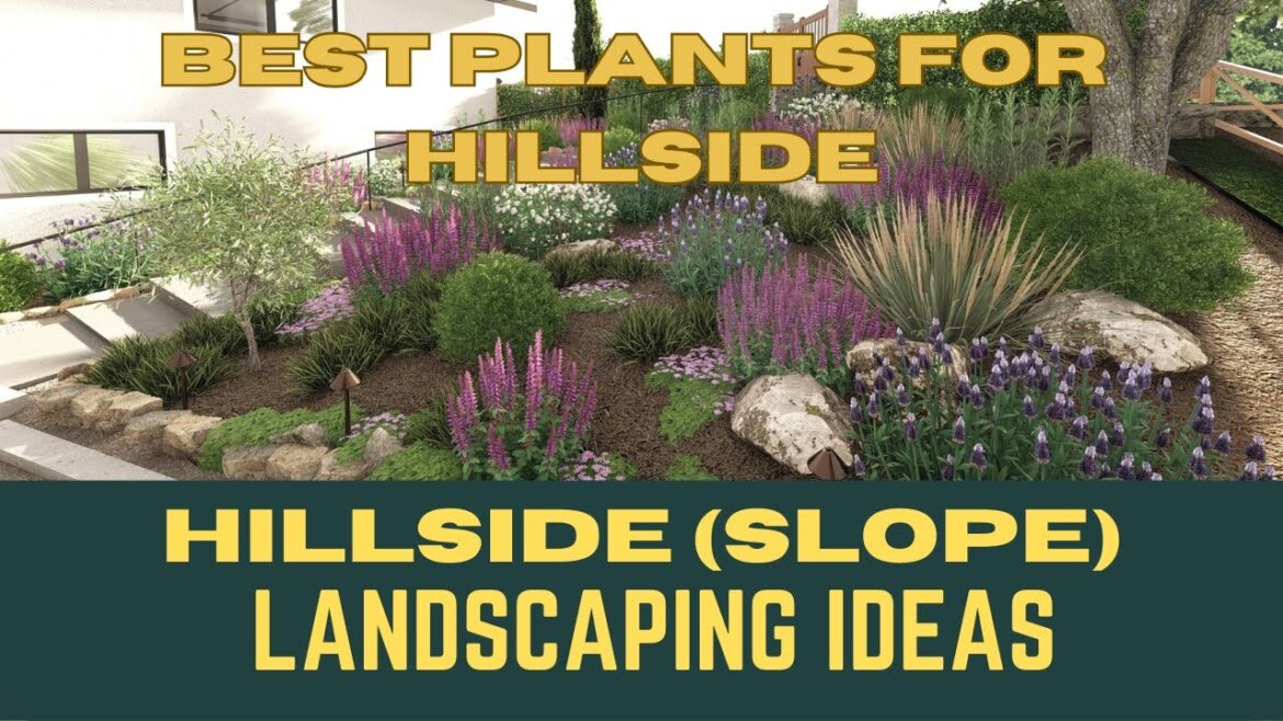 Best Plants For Hillside Landscaping | Slope Area Landscaping Ideas | Front Yard Garden Ideas Best Plants For Hillside Landscaping | Slope Area Landscaping Ideas | Front Yard Garden Ideas