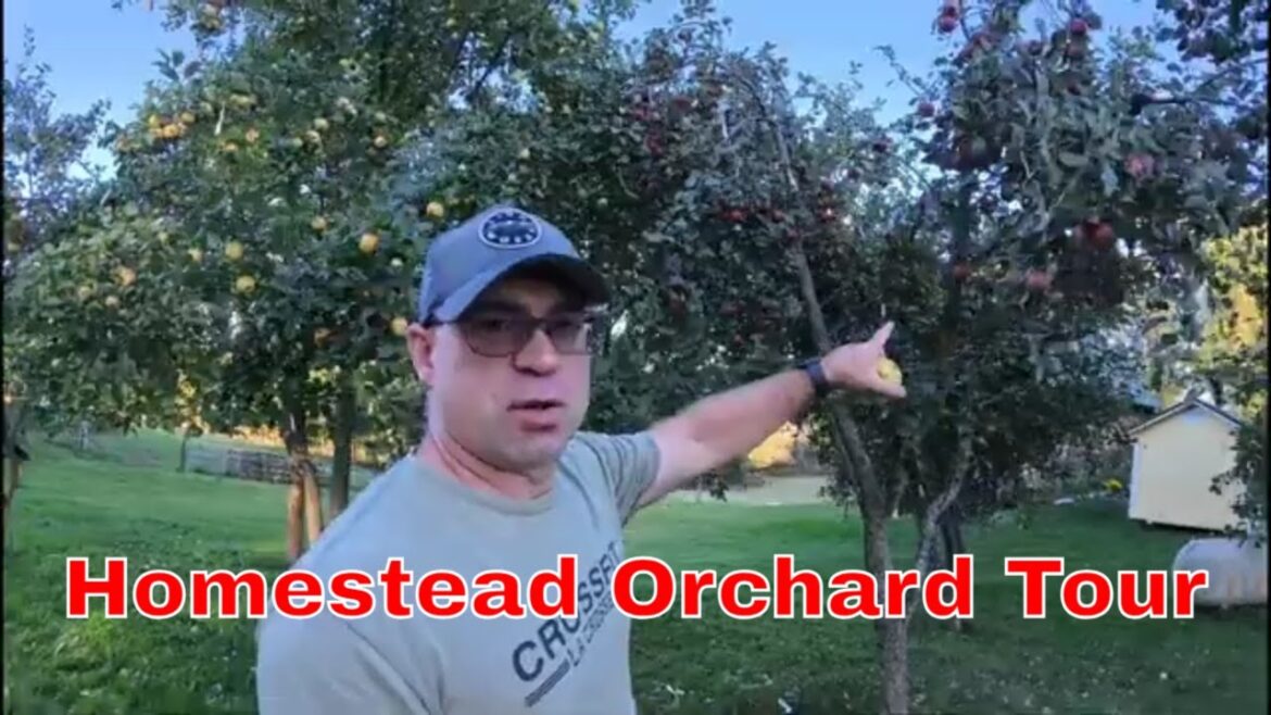Branching Out: Maintenance and Development of Homestead Orchards and Woodlots