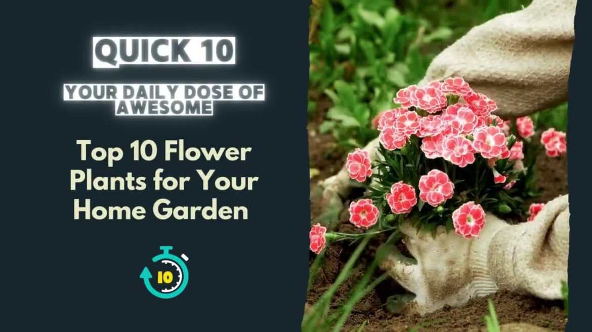 Top 10 Flowering Plants That Will Make Your Garden POP