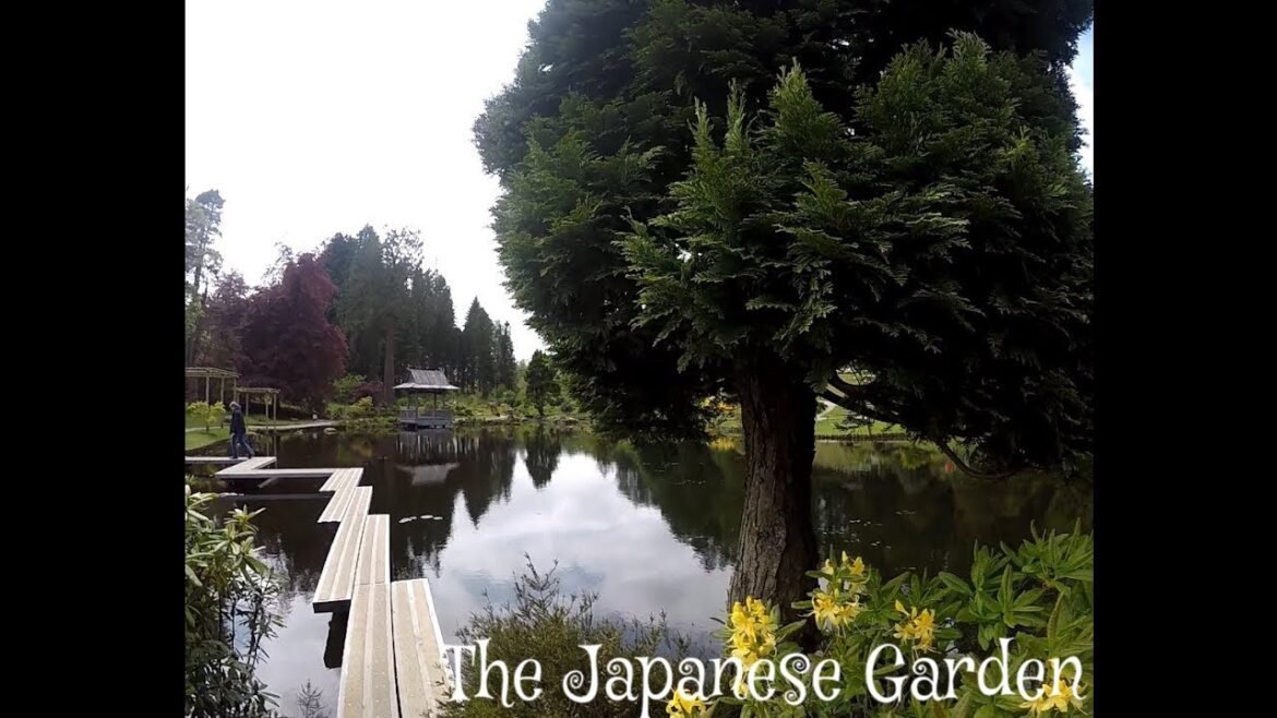 The Japanese Garden At Cowden Castle: ‘the Place of Pleasure and Delight’ - 2