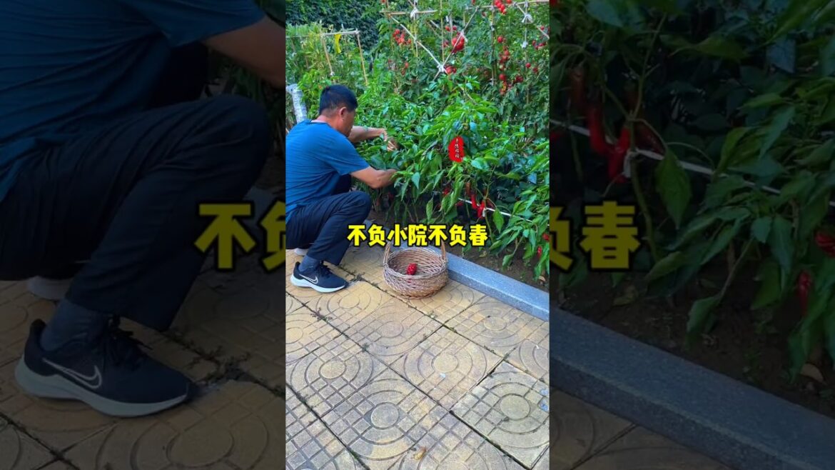 No matter what age you are, you should do what you like, grow vegetables and flowers.
