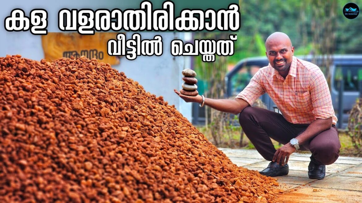 കള വളരാതിരിക്കാൻ Pebbels & Weed mat|Weed mat laying|Pebbels laying|Pebbels landscaping|Dr. Interior കള വളരാതിരിക്കാൻ Pebbels & Weed mat|Weed mat laying|Pebbels laying|Pebbels landscaping|Dr. Interior