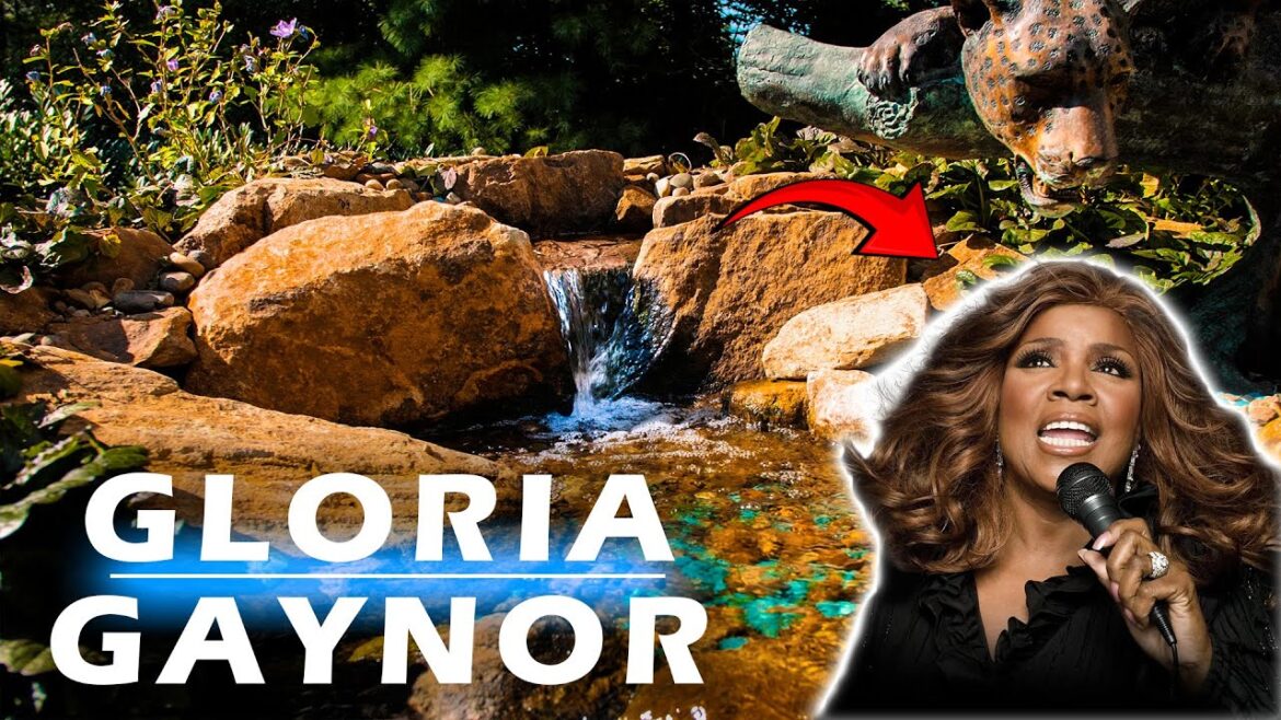 One of a kind Jaguar Pondless Waterfall build | Done in 1 DAY! One of a kind Jaguar Pondless Waterfall build | Done in 1 DAY!