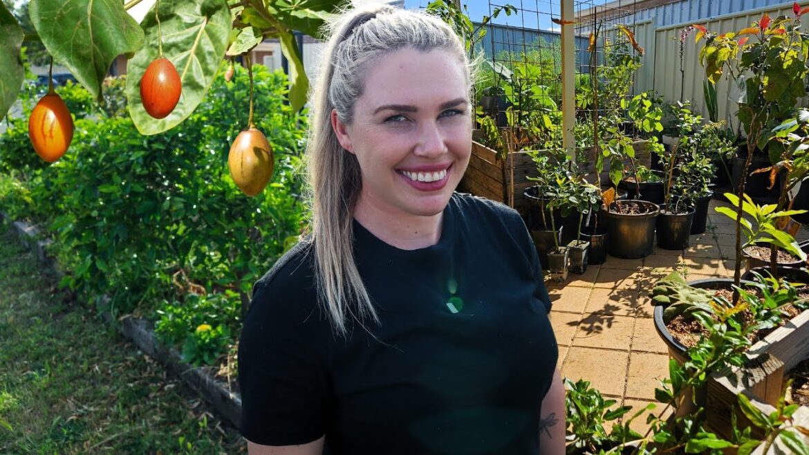 Full edible GARDEN TOUR & rare fruit tree collection ~ October 2024