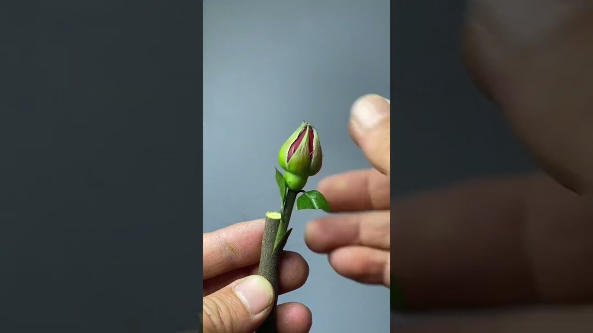 Best method and unique ideas for the grafting of fruit trees #grafting #plants #garden #tree​