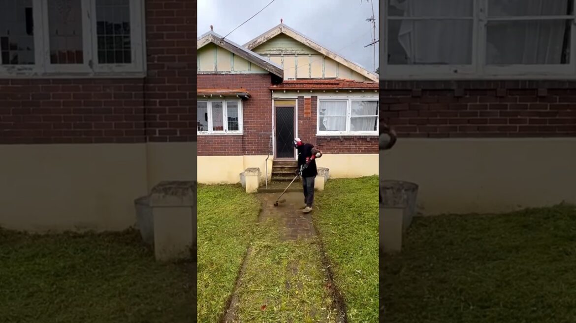 Autumn is the busiest season for yard cleaning #weeding #decompression #rural people work so hard