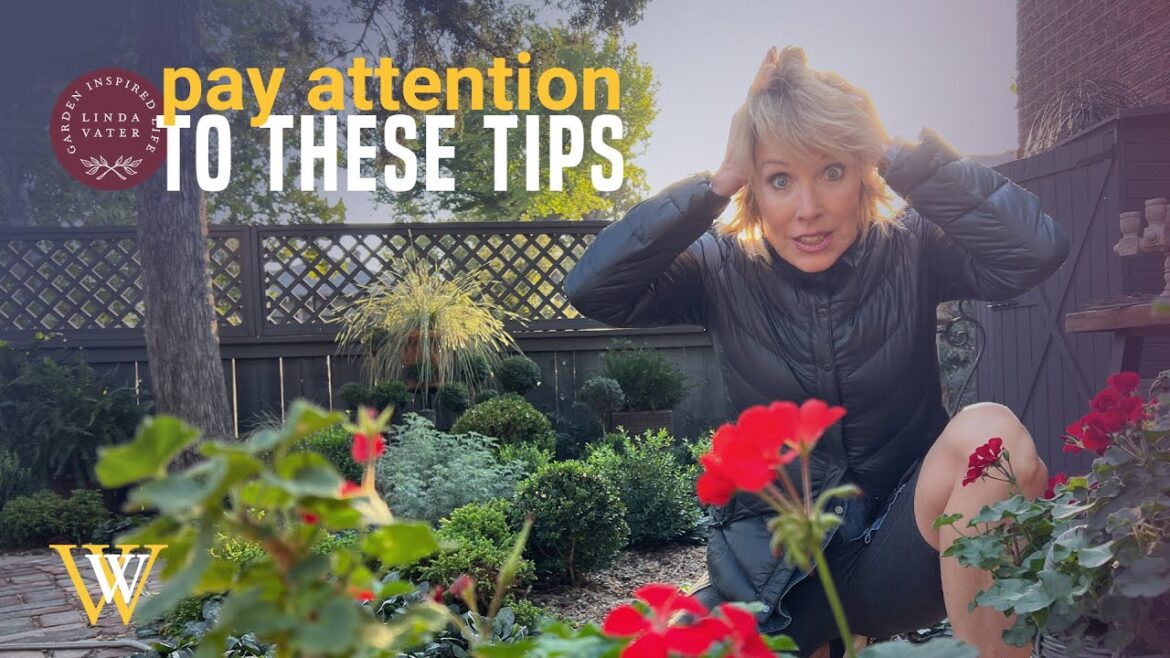 Pay Attention to these Important Fall Garden Tips!