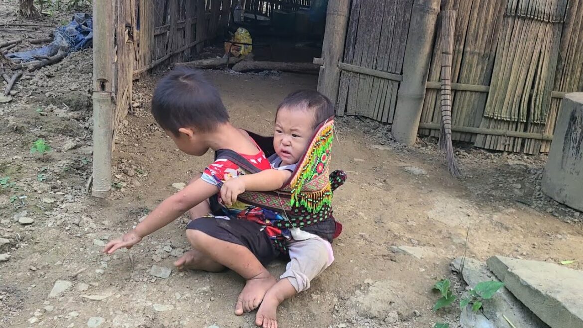 Today my mother and I do vegetable gardening. Today my mother and I do vegetable gardening.