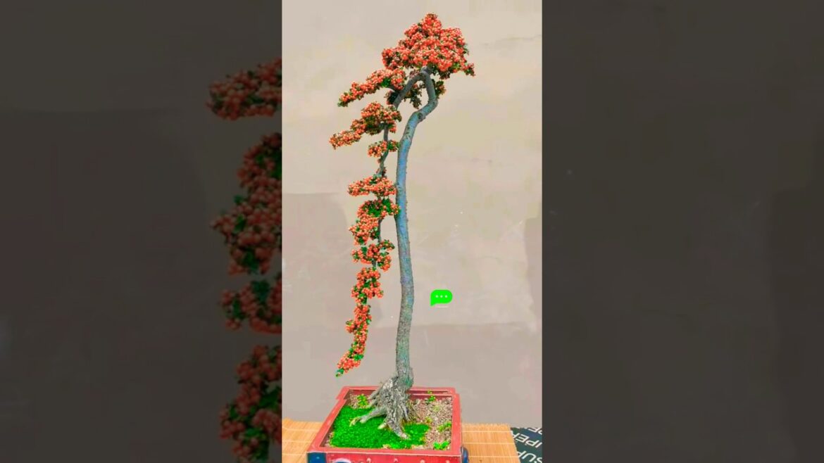 Bonsai Trees: The Art of Patience & Serenity #bonsai #garden Bonsai Trees: The Art of Patience & Serenity #bonsai #garden