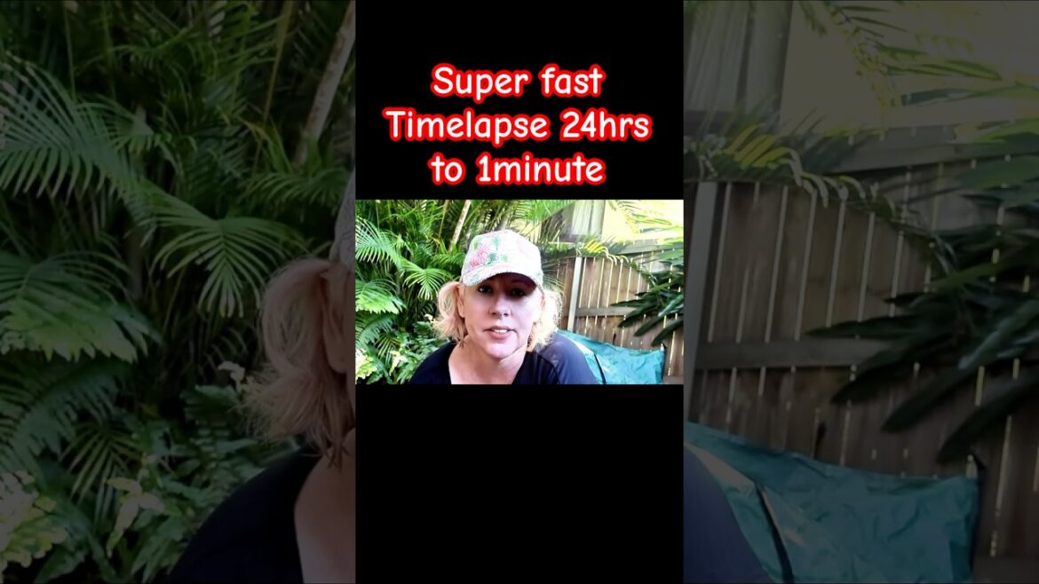 Garden Makeover (Before & After)