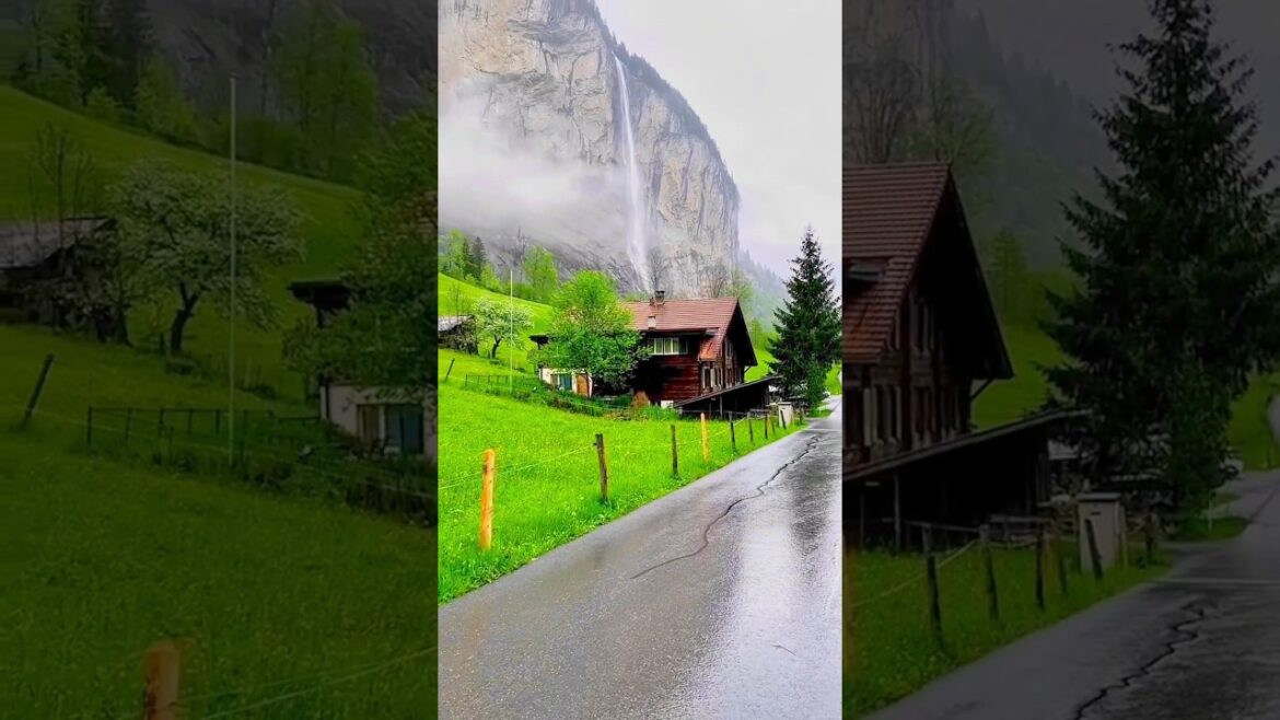 Beautiful backyard landscapes. @onwaygo #shorts #shortsfeed