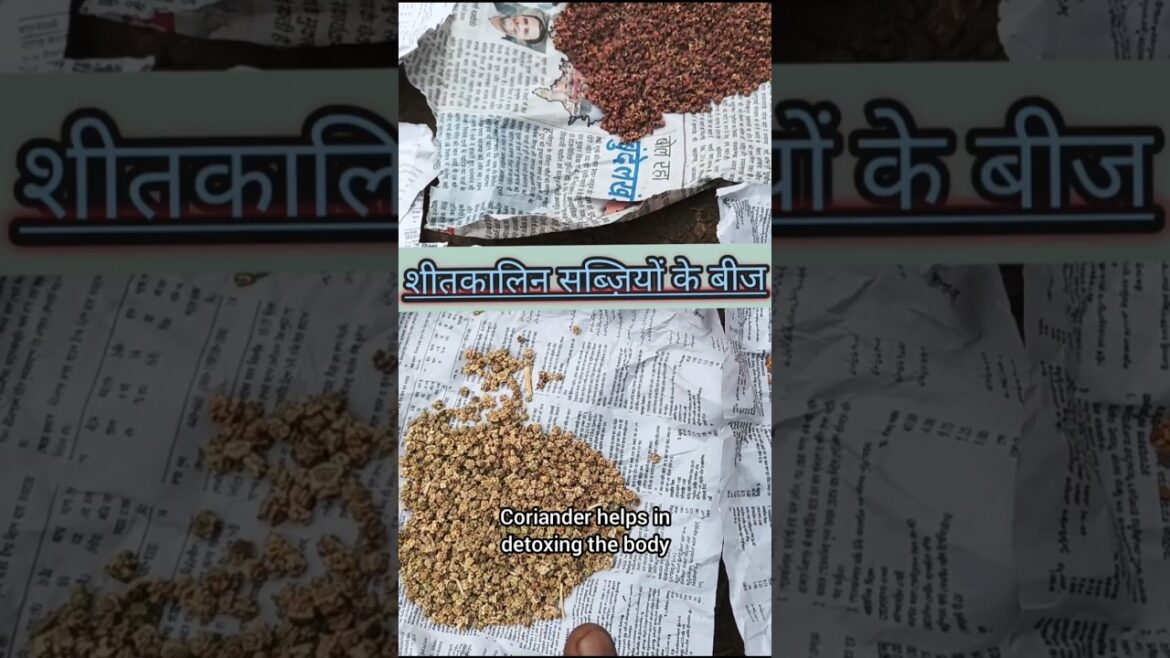 शीतलकलिन सब्जीयों के seeds !! #shorts#youtubeshorts#trending#shortvideo#shortsvideo#shortsfeed🍄🍅🍇🌿☘️