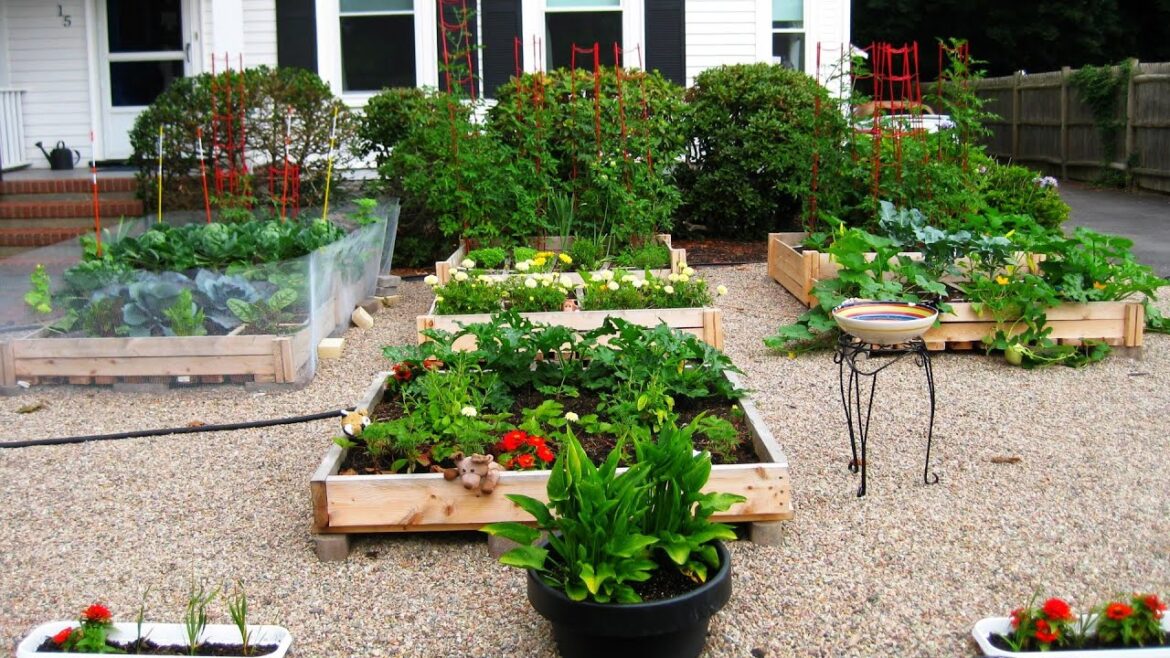 WONDERFUL! 100+ VEGETABLE GARDENING AREA DESIGN IDEAS | BACKYARD GARDEN TIPS FOR GROWING VEGETABLES WONDERFUL! 100+ VEGETABLE GARDENING AREA DESIGN IDEAS | BACKYARD GARDEN TIPS FOR GROWING VEGETABLES