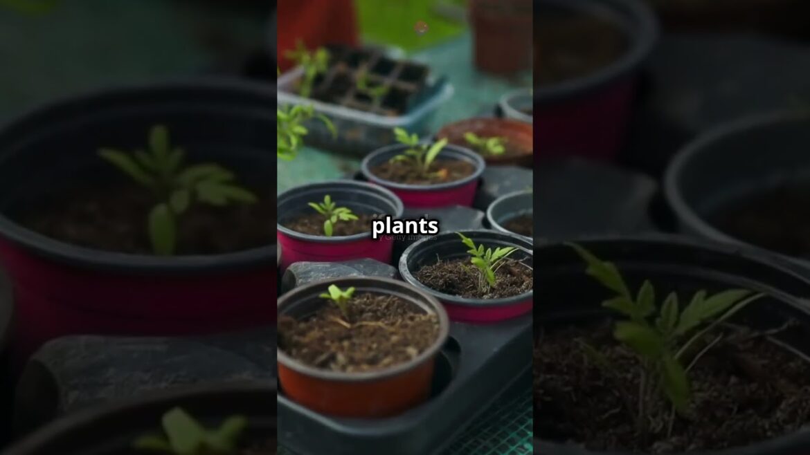 Gardening Tips: Beginner to Pro: Quick Ideas for Your Dream Garden! #gardening #gardeningtips #tips