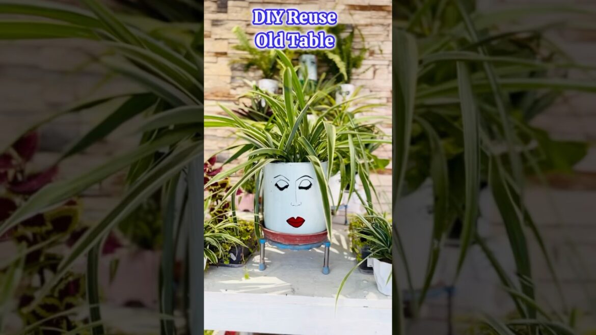 DIY || Reuse Old Furniture || #wastetobest #plants #garden DIY || Reuse Old Furniture || #wastetobest #plants #garden