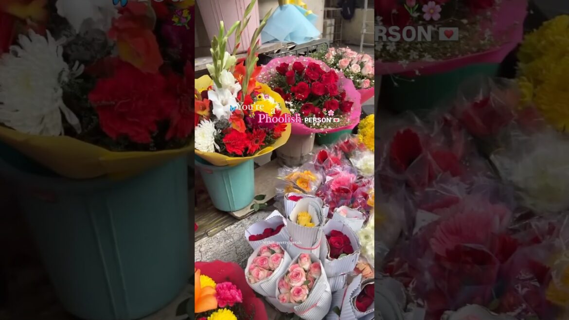 FLOWERS #beautiful #flowers #youtubeshorts #shorts #anu&hadiworld