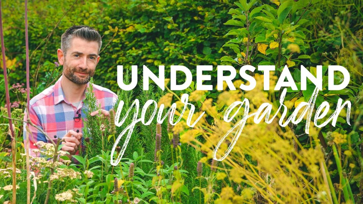 5 Essential Things EVERY Gardener Should Understand About Their Garden